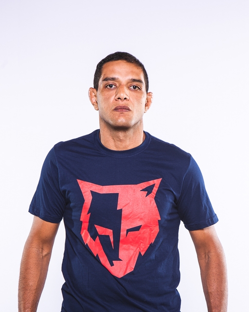 Modelo BR003