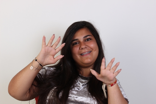 Modelo LI035