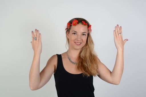 Modelo LI044