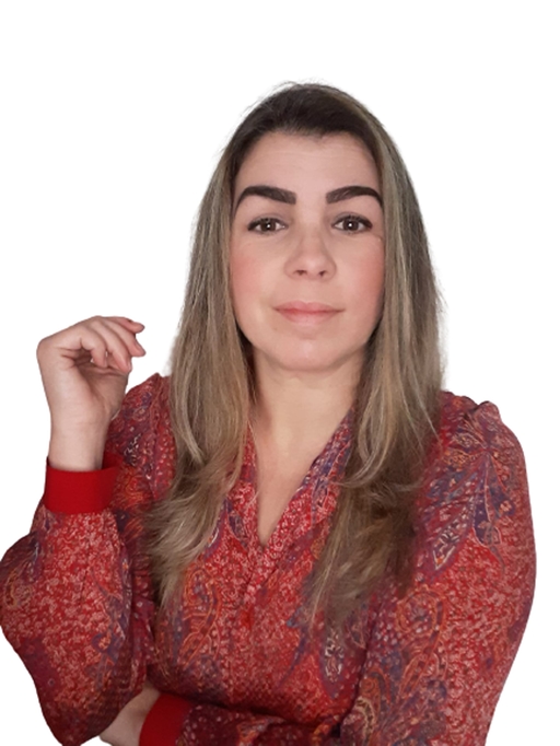 Modelo LI091